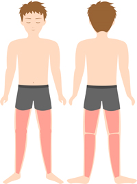 脱毛部位の図　-ひざ　上下　前後-