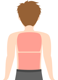 脱毛部位の図　-背中　上下-