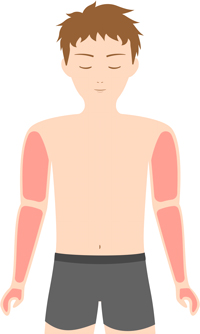 脱毛部位の図　-腕フル(手～肩)-