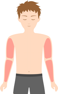 脱毛部位の図　-ひじ　上下-
          